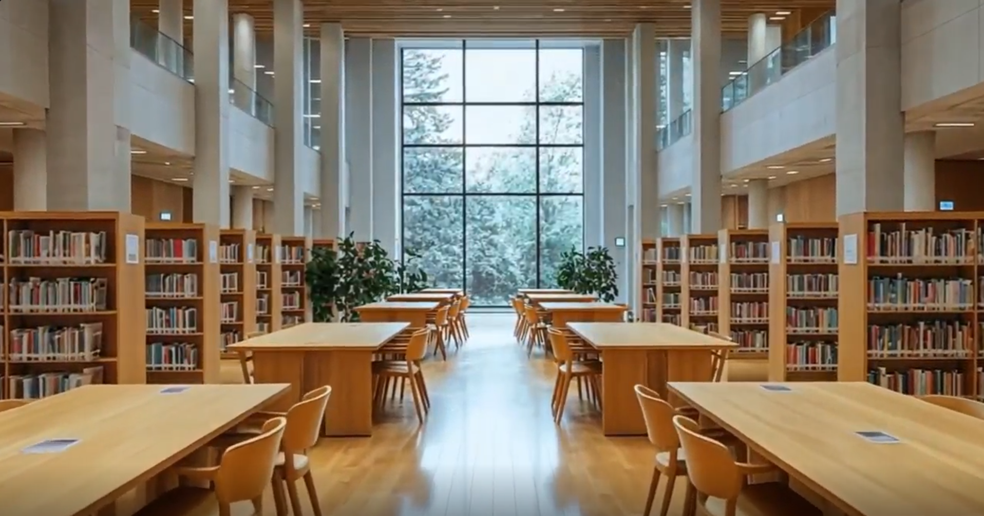 About Us Video Thumbnail